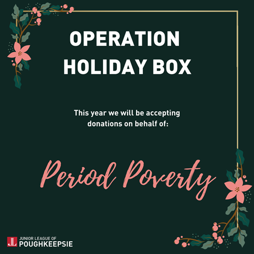 Operation Holiday Box: Period Poverty